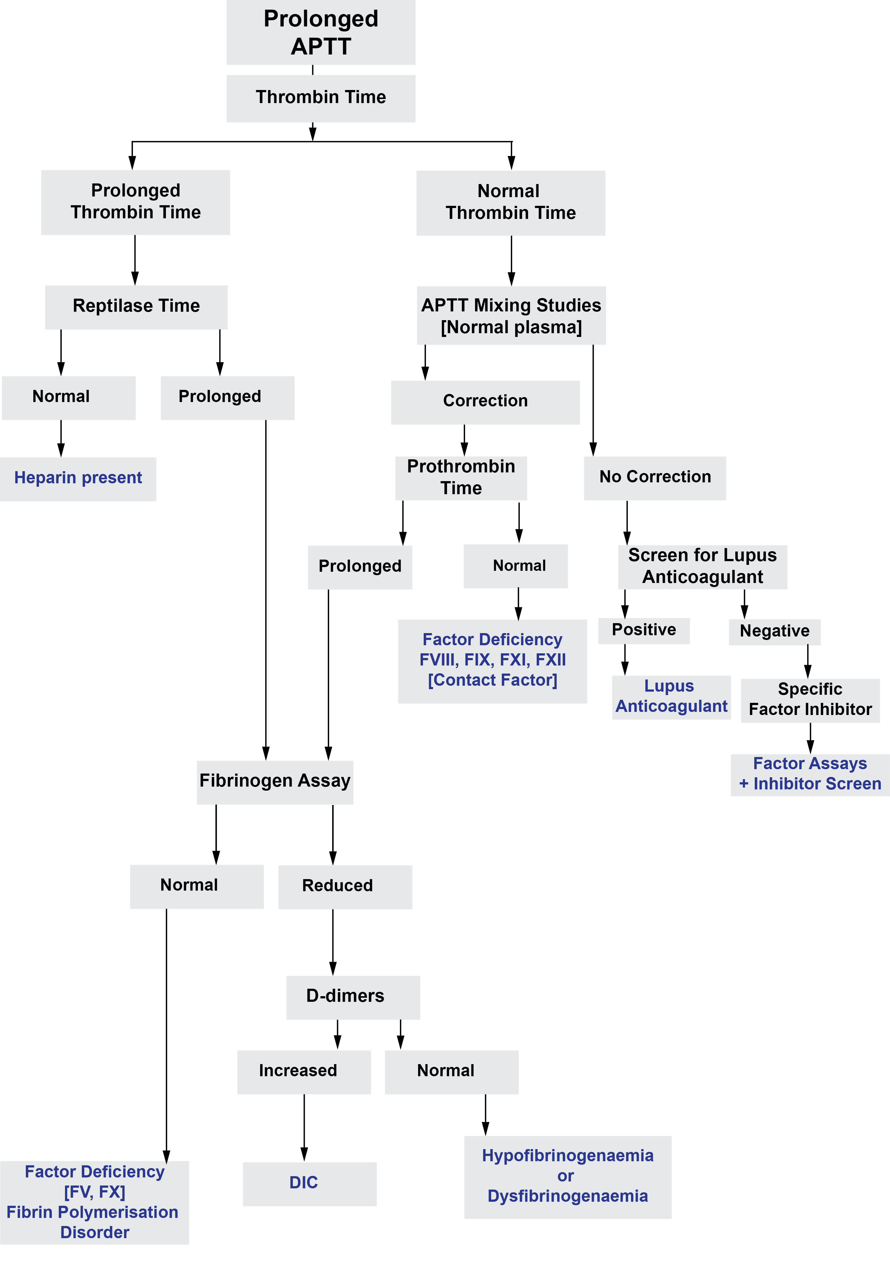Prothrombin Time Wikipedia