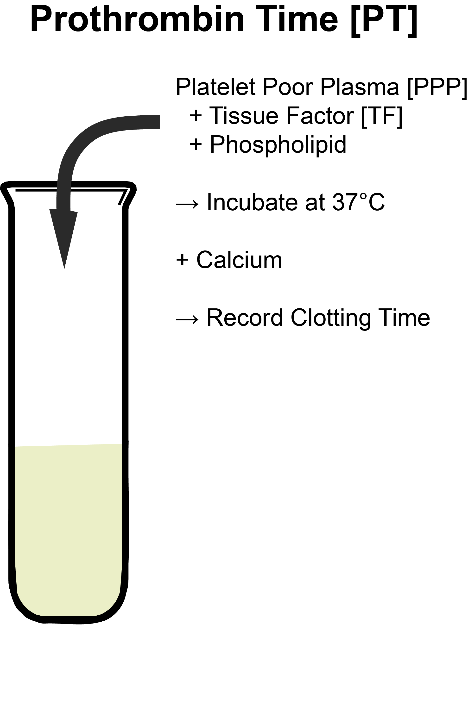 or more diagrammatically.